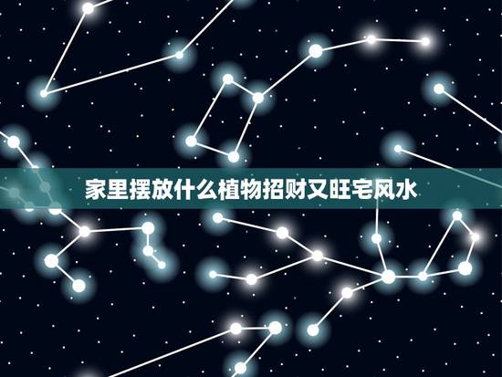 家里摆放什么植物招财又旺宅风水，家里最旺财的十种花