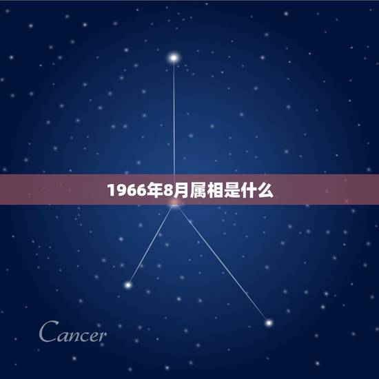 1966年8月属相是什么，1966年属马的人八月份出生是什么星座