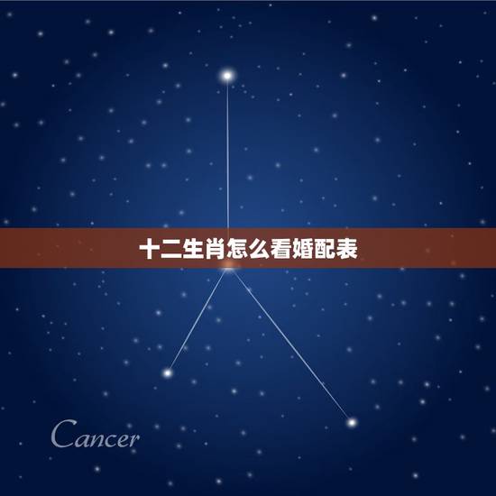 十二生肖怎么看婚配表,十二生肖婚配 十二生肖怎么看婚配表,十二生肖婚配