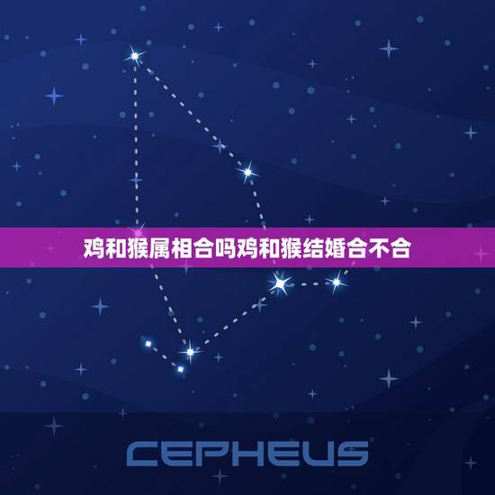 鸡和猴属相合吗鸡和猴结婚合不合，鸡和猴的属相性格合不合