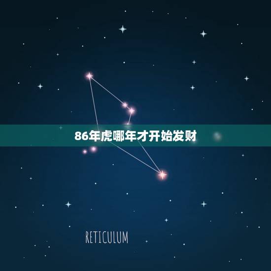 86年虎哪年才开始发财