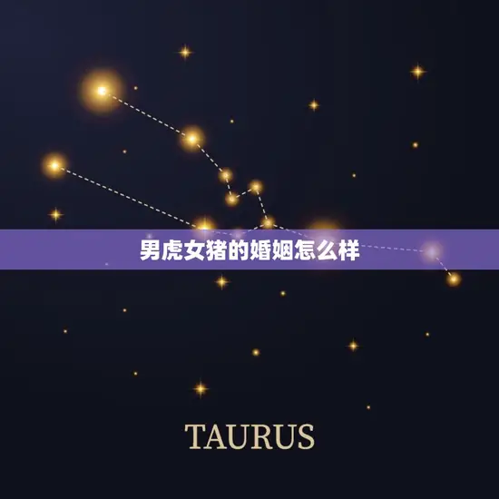 男虎女猪的婚姻怎么样 男虎女猪的婚姻怎么样