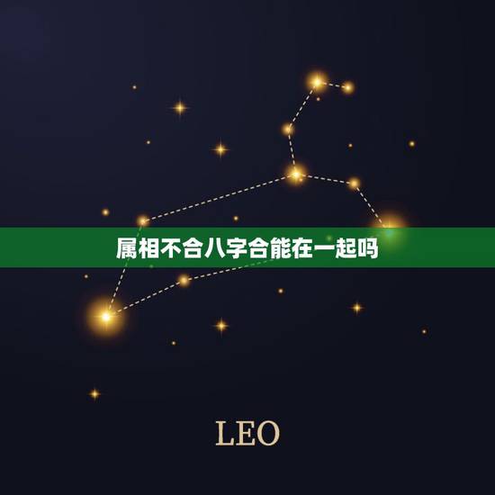 属相不合八字合能在一起吗,属相不合的人能在一起吗? 属相不合八字合能在一起吗,属相不合的人能在一起吗?