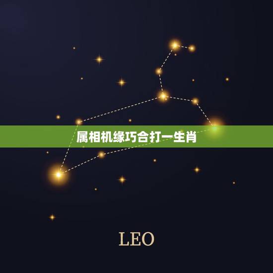 属相机缘巧合打一生肖，机不可失，失不再来打一生肖