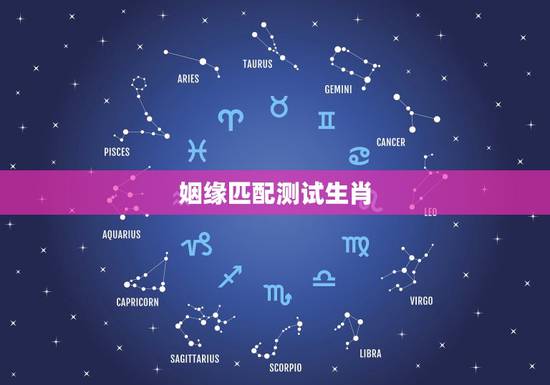 姻缘匹配测试生肖，十二生肖配对姻缘