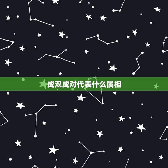 成双成对代表什么属相，成双成对 是什么生肖？