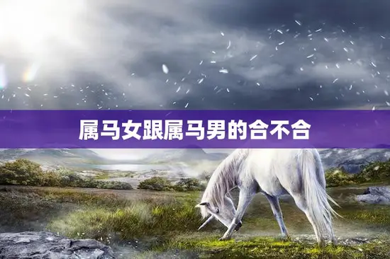 属马女跟属马男的合不合(星座配对分析)