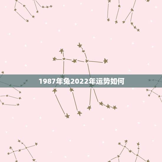 1987年兔2022年运势如何,87年兔35岁2022年的财运 1987年兔2022年运势如何,87年兔35岁2022年的财运