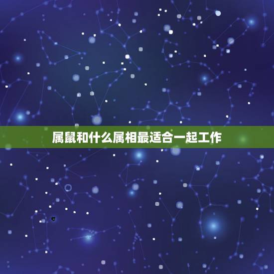 属鼠和什么属相最适合一起工作，属鼠和什么属相合伙经营最配
