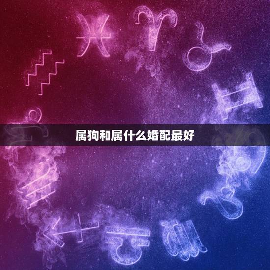 属狗和属什么婚配最好,属牛和属鼠在一起怎么样? 属狗和属什么婚配最好,属牛和属鼠在一起怎么样?