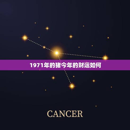 1971年的猪今年的财运如何，请问71年属猪从今天起算去运气如何