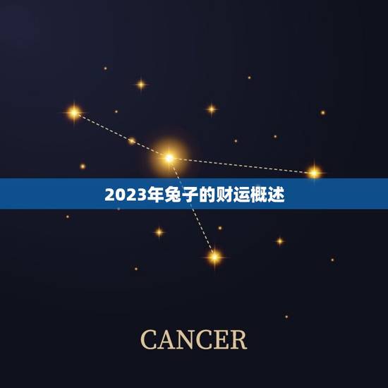 2023年兔子的财运概述