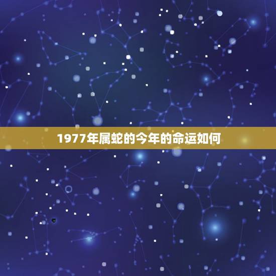 1977年属蛇的今年的命运如何,1977年的蛇今年下半年运势 1977年属蛇的今年的命运如何,1977年的蛇今年下半年运势