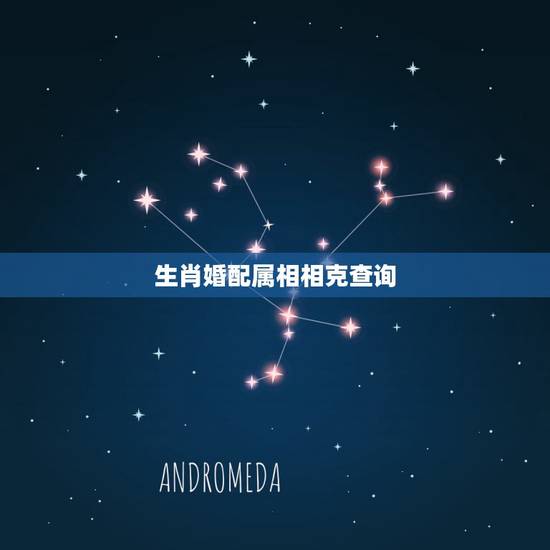 生肖婚配属相相克查询，属相生肖配对姻缘查询？