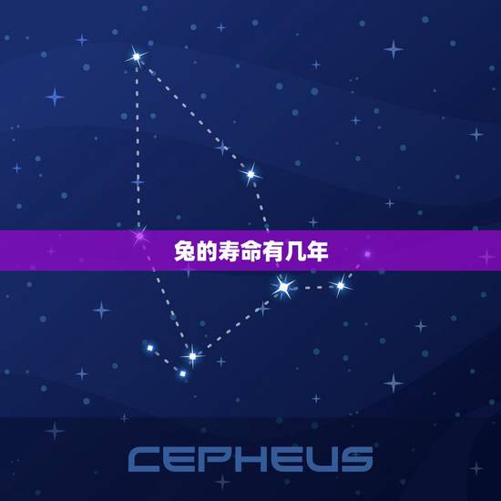 兔的寿命有几年，普通狗的寿命有几年