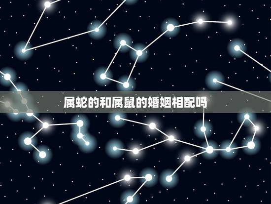 属蛇的和属鼠的婚姻相配吗，属蛇合属鼠婚姻配吗