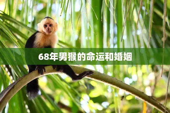 68年男猴的命运和婚姻(如何影响他的人生道路)