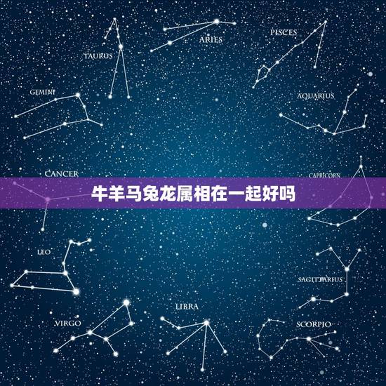 牛羊马兔龙属相在一起好吗，属牛和属马的人生什么属相的孩子好