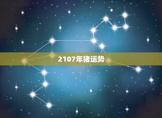 2107年猪运势,2007年属猪的人2017年运程 2107年猪运势,2007年属猪的人2017年运程