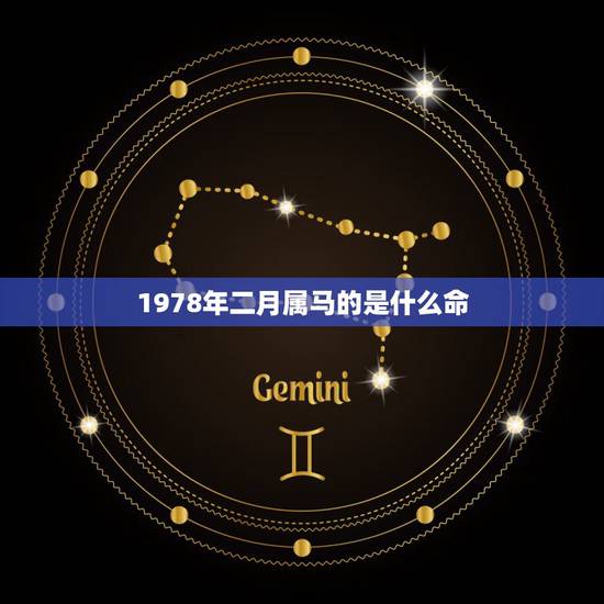 1978年二月属马的是什么命，1978年属马的到底是火命还是土命