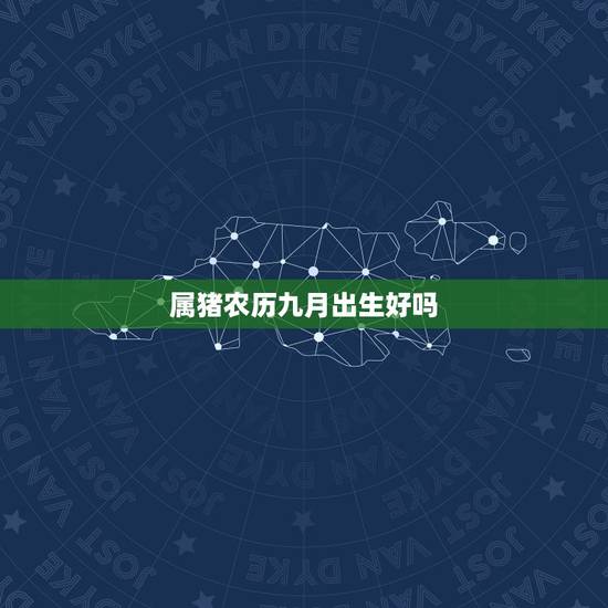 属猪农历九月出生好吗，生辰八字五行查询