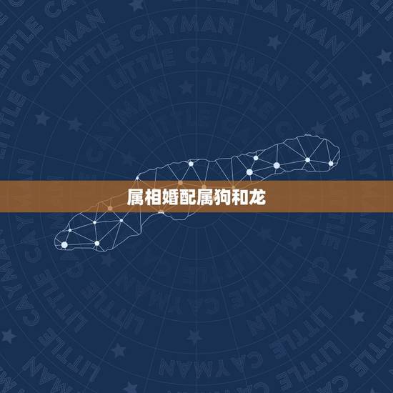 属相婚配属狗和龙,属龙和属狗的能婚配吗? 属相婚配属狗和龙,属龙和属狗的能婚配吗?