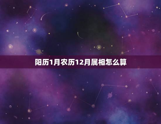 阳历1月农历12月属相怎么算，生肖怎么算？农历腊月底，阳历1月底，属什