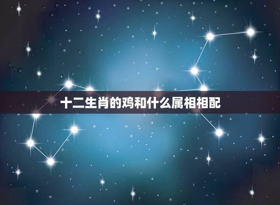 十二生肖的鸡和什么属相相配，属鸡和什么属相最配最合适