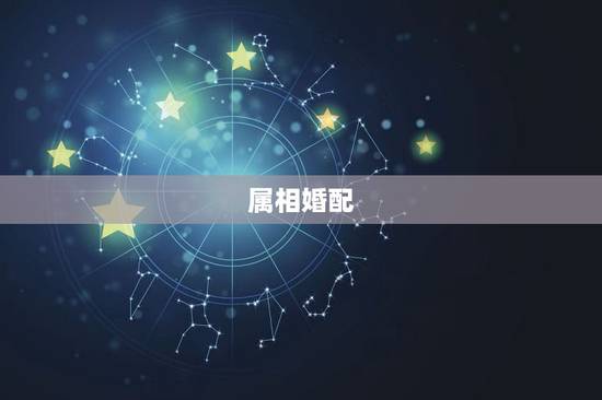 属相婚配,属相婚配 属相婚配,属相婚配
