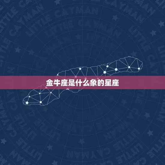 金牛座是什么象的星座