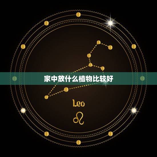 家中放什么植物比较好,家里放什么植物最好? 家中放什么植物比较好,家里放什么植物最好?