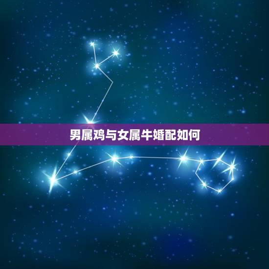 男属鸡与女属牛婚配如何,男属鸡,女属牛配吗? 男属鸡与女属牛婚配如何,男属鸡,女属牛配吗?