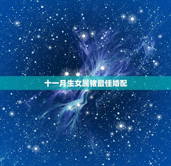 十一月生女属猪最佳婚配,什么属相是属猪的最佳婚配 十一月生女属猪最佳婚配,什么属相是属猪的最佳婚配