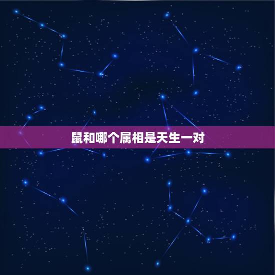 鼠和哪个属相是天生一对，哪个属相是天生一对