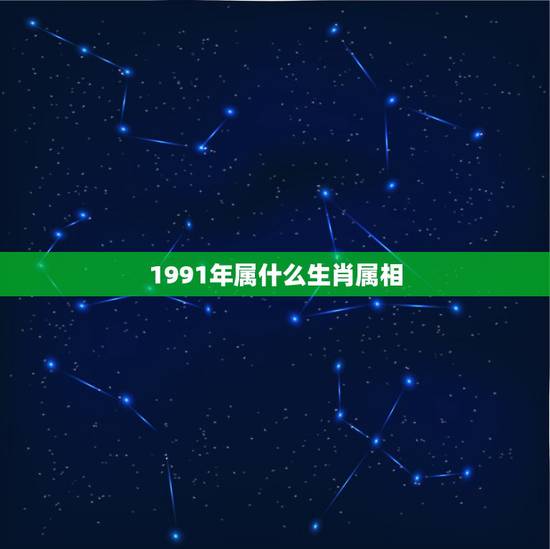 1991年属什么生肖属相，1991年属什么生肖