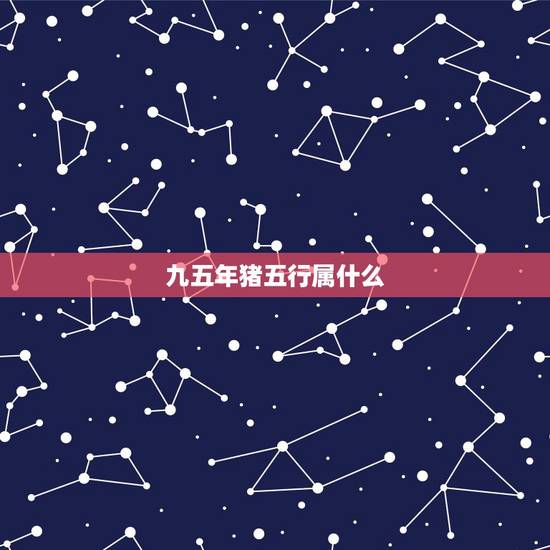 九五年猪五行属什么,1995年属猪姻缘 九五年猪五行属什么,1995年属猪姻缘