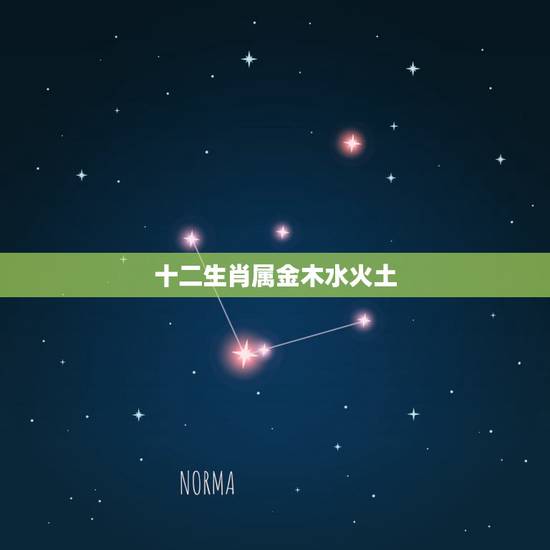十二生肖属金木水火土，金木水火土与十二生肖有什么关系