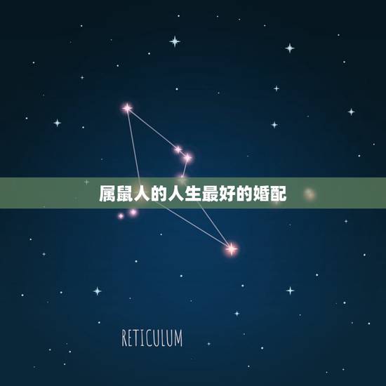 属鼠人的人生最好的婚配,属鼠人最佳的婚配对象是谁 属鼠人的人生最好的婚配,属鼠人最佳的婚配对象是谁