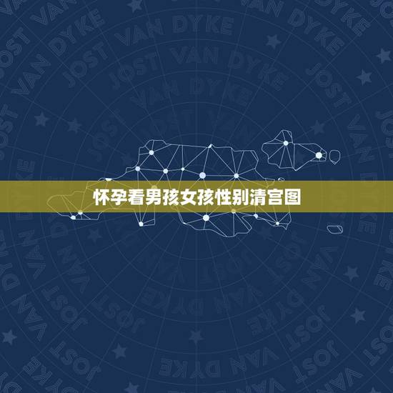 怀孕看男孩女孩性别清宫图，孕75天做B超能看出男女来吗？