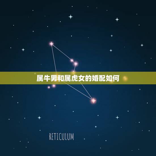属牛男和属虎女的婚配如何，属牛男和属虎女今年有添丁吗