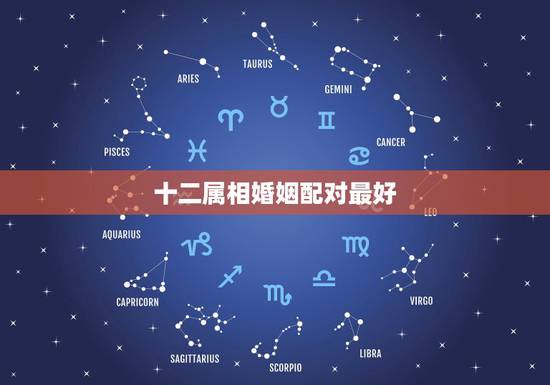十二属相婚姻配对最好,属蛇和什么属相最配 属蛇的最佳配偶 十二属相婚姻配对最好,属蛇和什么属相最配 属蛇的最佳配偶
