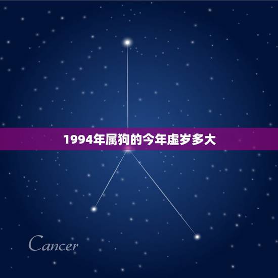 1994年属狗的今年虚岁多大，1994年虚岁多少
