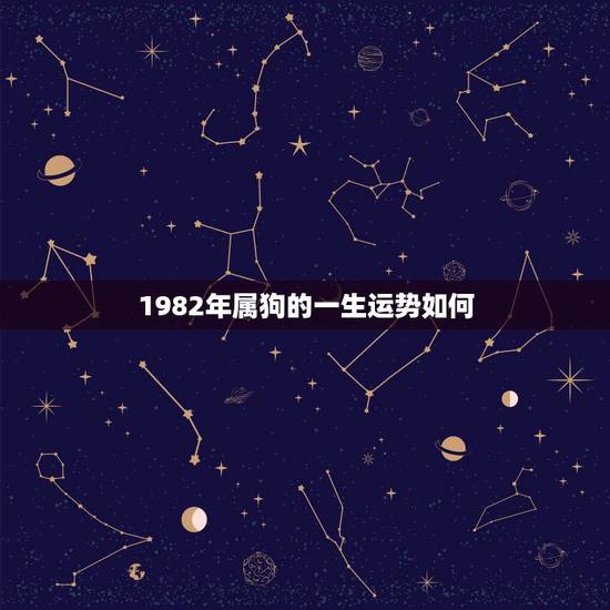 1982年属狗的一生运势如何，1982年属狗女运势