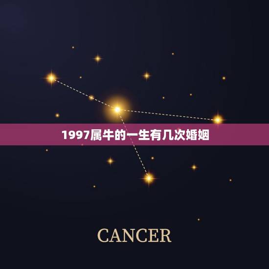1997属牛的一生有几次婚姻，1997年的属牛命运