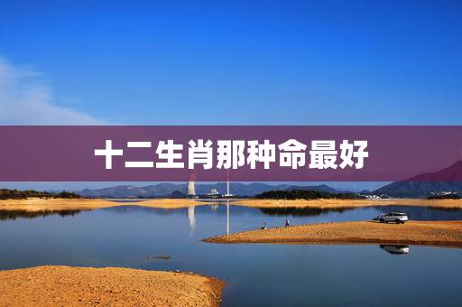 十二生肖那种命最好，什么生肖寿命最长
