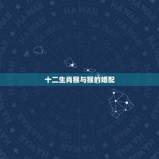 十二生肖猴与猴的婚配，属猴的男士婚配什么属相最好