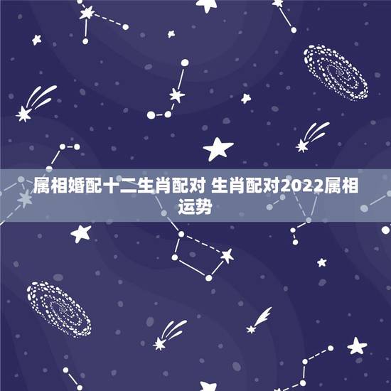 属相婚配十二生肖配对 生肖配对2022属相运势 属相婚配十二生肖配对 生肖配对2022属相运势