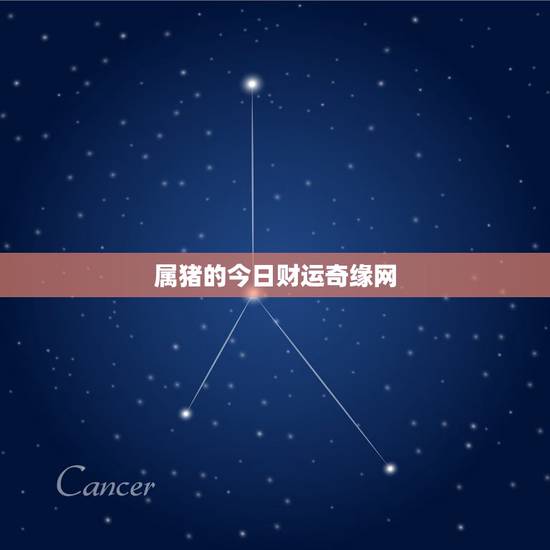 属猪的今日财运奇缘网