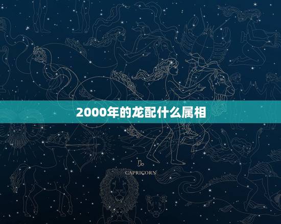 2000年的龙配什么属相，88年属龙的和什么属相的比较配啊？