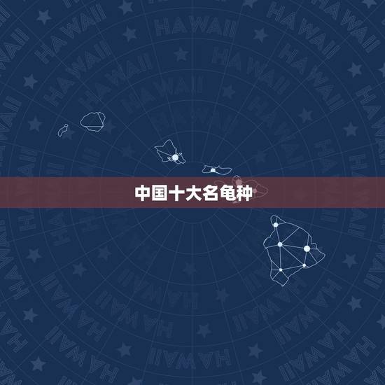 中国十大名龟种,中国最贵的龟排名 中国十大名龟种,中国最贵的龟排名
